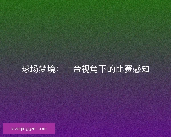 球场梦境：上帝视角下的比赛感知